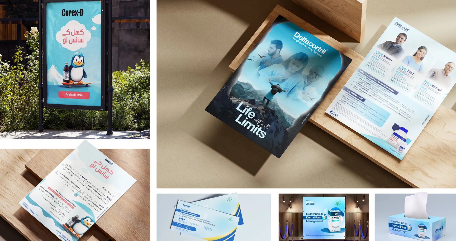 LCI retail, billboard and brochure work
